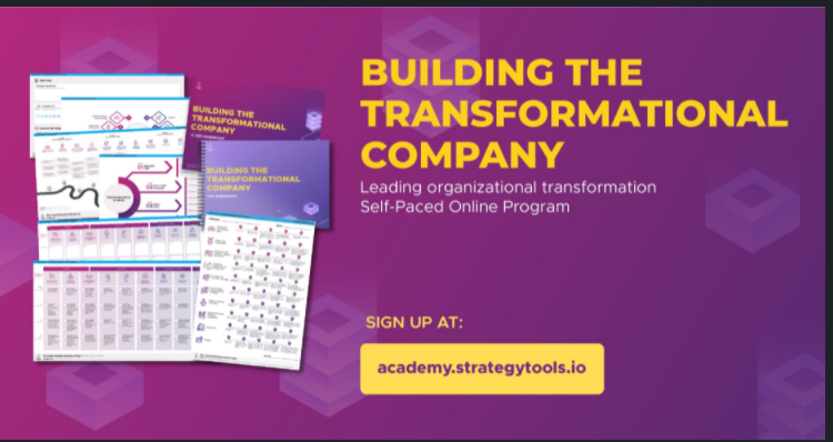 Building the transforming organisation